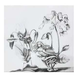 1972 Adrienne Anderson Harpy's Paradisal Nest Lithograph For Sale