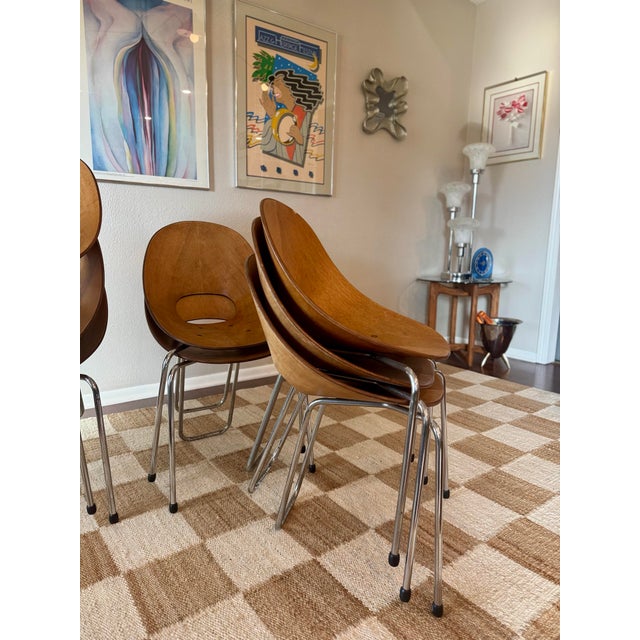 Fratelli Tagliabue A Set of 8 Mid Century Modern Italian “Medea” Chairs, Designed by Vittorio Nobili for F.lli Tagliabue, Circa 1950s. Not Markd. For Sale - Image 4 of 12