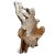Contemporary Vintage Giant Teak Root Throne Chair For Sale - Image 3 of 11