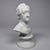 19th Century Meissen Parian Porcelain Bust of Johann Wolfgang Von Goethe German For Sale In Seattle - Image 6 of 10