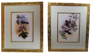 Pasargad Gould Hummingbirds Painting- a Pair