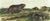 Original first edition Audubon stone lithograph from "The Viviparous Quadrupeds of North America", octavo edition, printed...