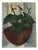 Yvonne Grauer, Flowers in a Gourd, 1960s, Oil Painting For Sale