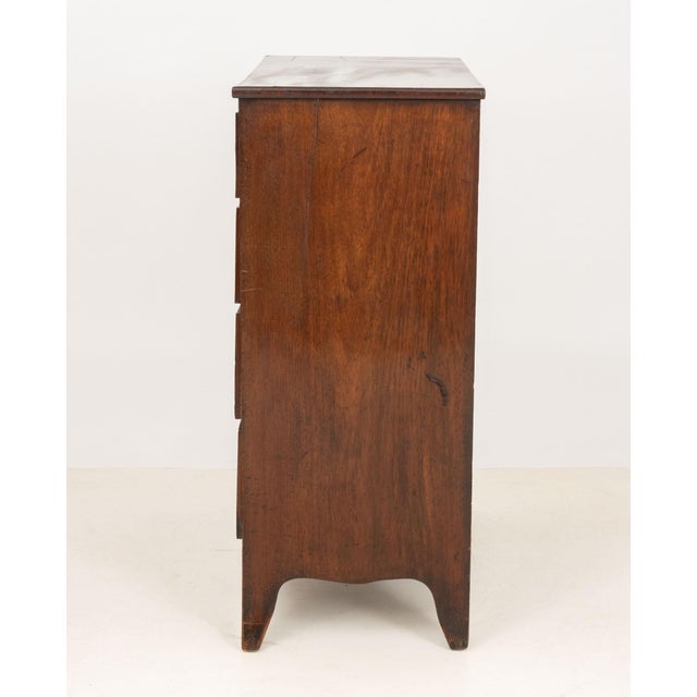 Early 19th Century Regency Mahogany Chest of Drawers For Sale - Image 5 of 7