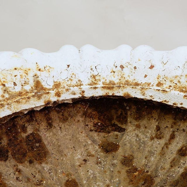 19th Century Cast Iron Basin with Lion Head Handles For Sale - Image 15 of 16