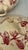 Red Ironstone Tureen with Honeysuckle Pattern from Gien Factory, 1890s For Sale - Image 12 of 13
