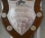 Traditional shield swimming trophy the is a traditional golden oak shield has a large silver plated mount, in the centre...