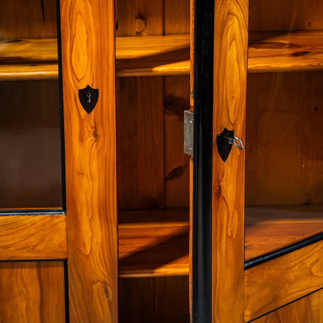 Antique Biedermeier Bookcase, 1815 For Sale - Image 10 of 11