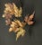 Vintage Autumn Leaves Maple Leaf Metal Wall Hanging Sculpture, C. Jere’ Style For Sale In Greenville, SC - Image 6 of 12