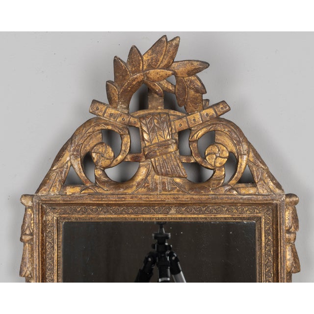French Provincial Louis XVI Giltwood Mirror, Hand-Carved, French, Circa 1800-1820 For Sale - Image 3 of 8