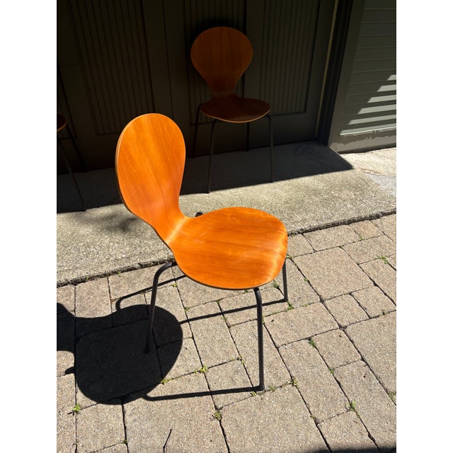 1990s Set of 6 Danish Modern Phoenix Molded Plywood Dining Chairs, Made in Denmark, 1990s For Sale - Image 5 of 7