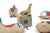Vintage Therapy Toys by Renate Müller for H. Josef Leven, Sonneberg, Set of 6 For Sale - Image 5 of 13