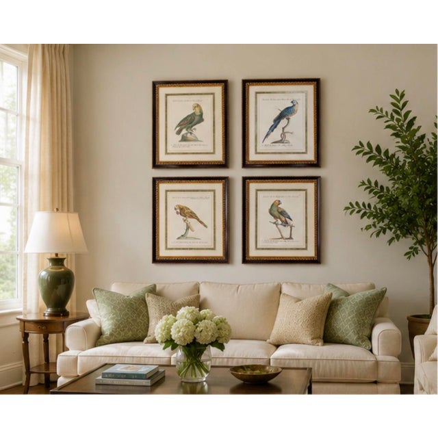 Set of 4 Vintage Continental Style Framed Natural History Prints For Sale - Image 10 of 12