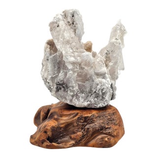 Selenite Crystal Formation on Quartz Matrix, Burl Wood Base, 7.5" For Sale