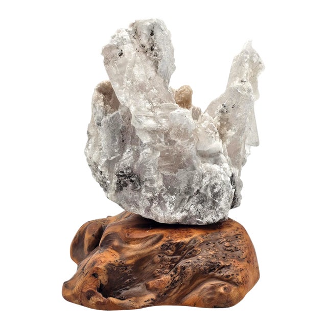 Selenite Crystal Formation on Quartz Matrix, Burl Wood Base, 7.5" For Sale