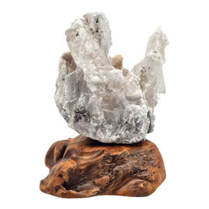 Selenite Crystal Formation on Quartz Matrix, Burl Wood Base, 7.5"