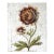 Vintage Sunflower - Hand Textured Vintage Sunflower For Sale