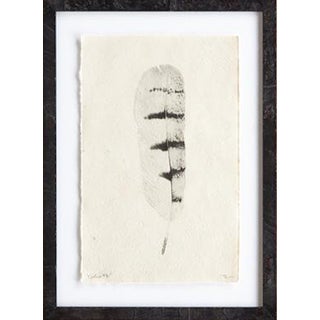 Giclée Print Handmade in Nepal, Feather Study - #8 For Sale
