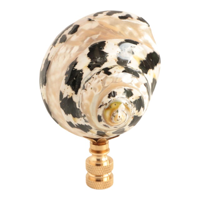 Mother of Pearl Zebra Shell Lamp Finial For Sale