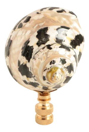 Mother of Pearl Zebra Shell Lamp Finial