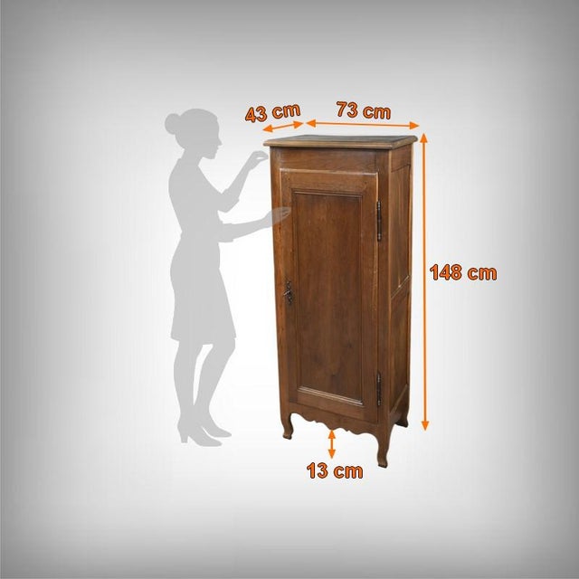19th Century Standing Regional Cabinet in Oak For Sale - Image 18 of 18