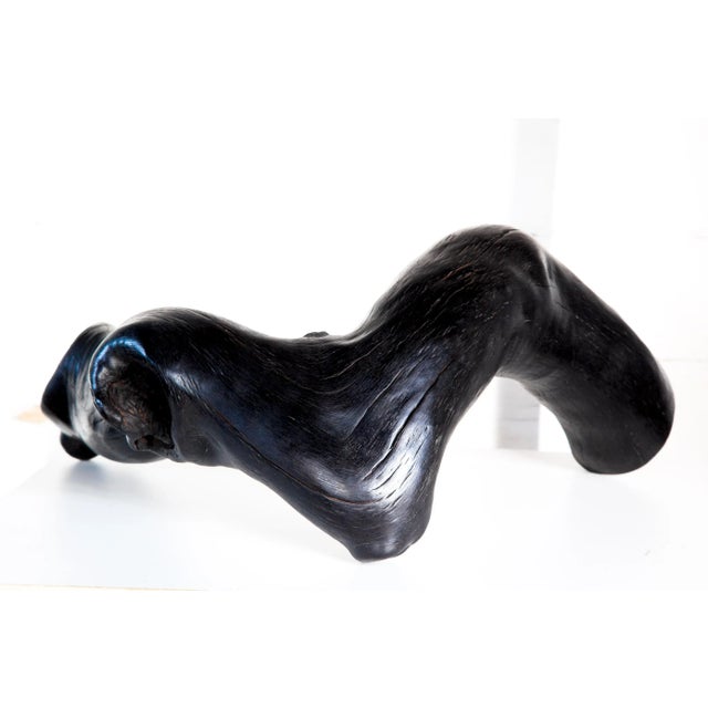 Japanese Quercos Eros Shou Sugi Ban Black Wood Sculpture For Sale - Image 3 of 7
