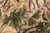 Shabby Chic Pak-Persian Beige/Green Wool Rug - 3'2'' X 5'1'' For Sale In New York - Image 6 of 9