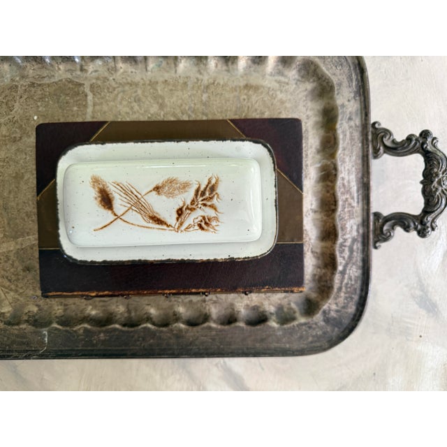 Contemporary Vintage Midwinter Stonehenge Wild Oats Butter Dish, Made in England, Wedgwood Group Stoneware For Sale - Image 3 of 10