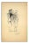 Andrè Wal, Fashion Figure, Lithograph, 1940s For Sale