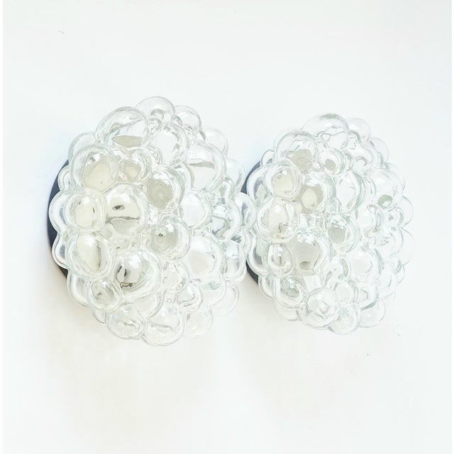 Mid-Century Modern Glass Ceiling Light and Wall Lights by Helena Tynell for Limburg, Germany, 1960s, Set of 3 For Sale - Image 4 of 11