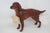 Mid 20th Century Vintage Goebel Ch622 Irish Setter Hand Painted Porcelain Dog Figurine 4699b For Sale - Image 5 of 18