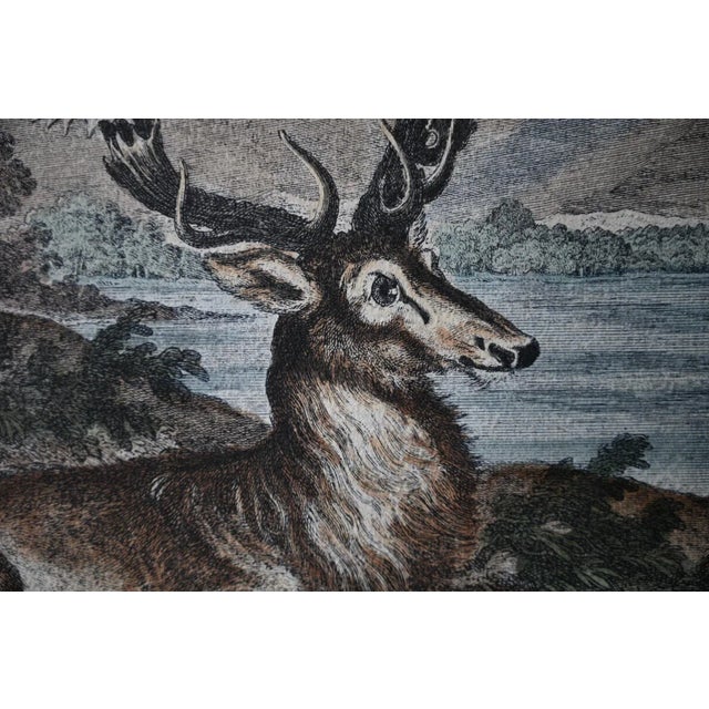 Paper 18th Century Rare 1696 Royal Prussian 66-Point Stag Hand-Colored Engraving After Frederick I For Sale - Image 7 of 9