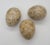 Vintage Polished Natural Stone Eggs - Set of 3 For Sale In Seattle - Image 6 of 6