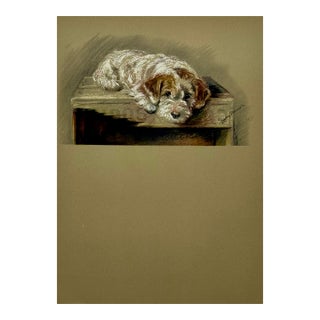 Sealyham Terrier by Lucy Dawson, 1946 For Sale