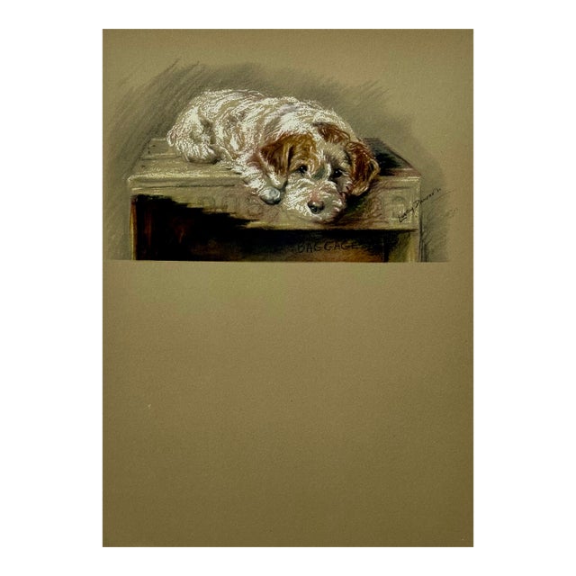 Sealyham Terrier by Lucy Dawson, 1946 For Sale