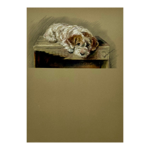 Sealyham Terrier by Lucy Dawson, 1946