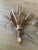 Mid 19th Century Vintage Italian Gilt Iron Wheat Sheaf Candle Wall Sconces - a Pair For Sale - Image 5 of 5