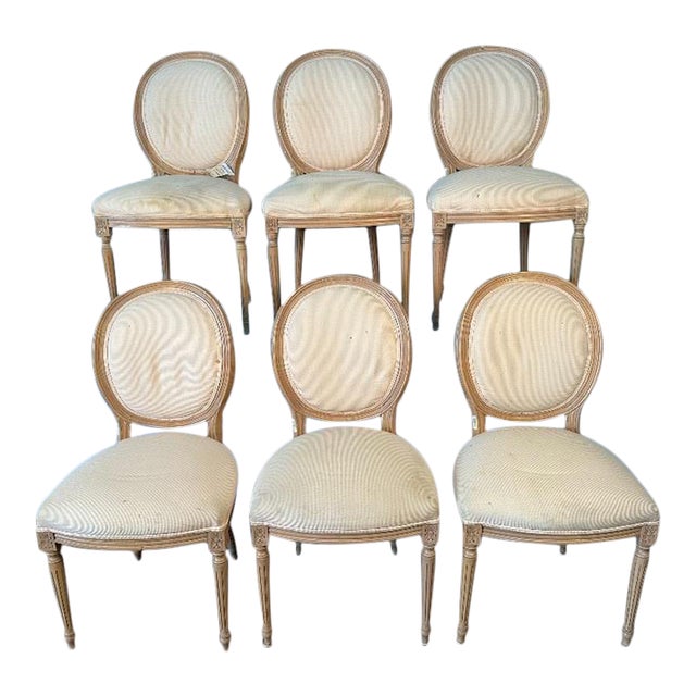 Country French Dining Chairs Set of 6 Chairish