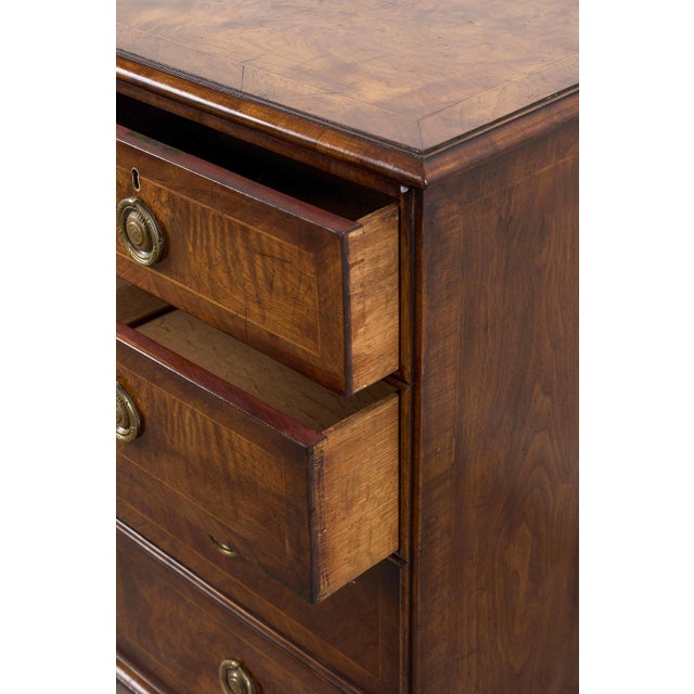 Exquisite 19th Century Burl Walnut Two Over Three Chest With Rings Pulls For Sale - Image 10 of 10