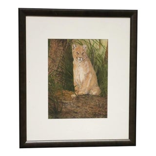 Pamela Baldwin Original Cougar Wildlife Mixed Media Watercolor & Pencil Painting, Framed For Sale
