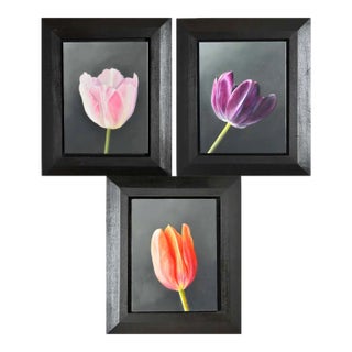 Trompe l'Oeil Tulip Oil Paintings by Dutch Artist Gershom, Set of Three For Sale