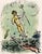 Marc Chagall, Poseidon from Odyssey, 1989, Lithograph For Sale - Image 8 of 10