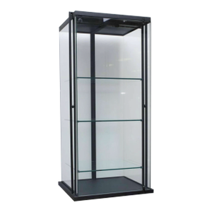 Vintage Black Metal Frame Glass Display Case