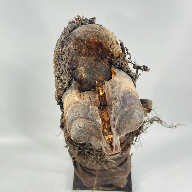 Early 20th Century Songye Nkishi Power Fetish Figure on Custom Stand For Sale - Image 9 of 11