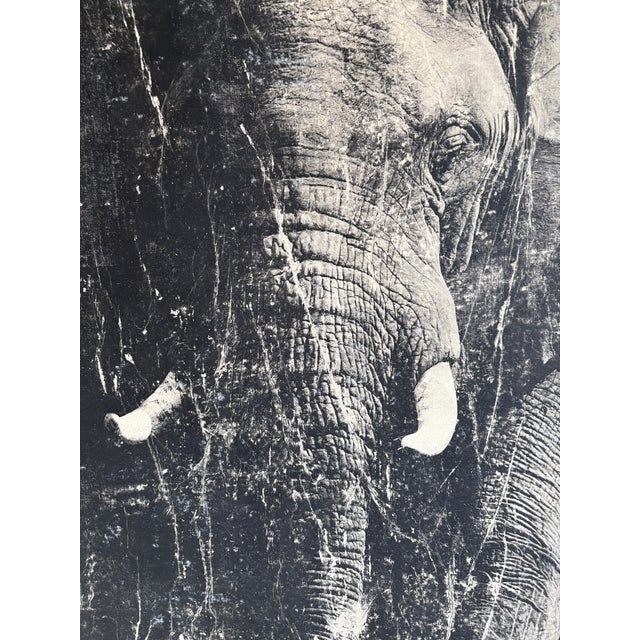 A large format screen print of a majestic elephant.