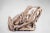 Modern Modern Free Form Teak Root Bench 29 For Sale - Image 3 of 12