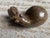 Carved Stone Hippopotamus Group, Zimbabwe, Set of Three For Sale In Philadelphia - Image 6 of 13