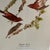 Shabby Chic 1960s After Audubon Purple Finch Print For Sale - Image 3 of 3