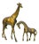 Vintage Brass Giraffes- S/2 For Sale
