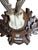 1930s Roe Deer Trophy 160 Black Forest Antlers For Sale - Image 5 of 5